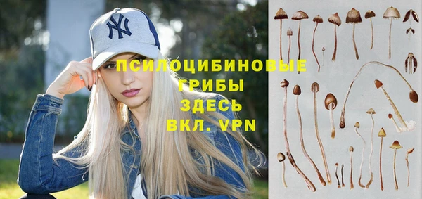 меф Армянск